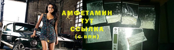 ГАЛЛЮЦИНОГЕННЫЕ ГРИБЫ Вязники